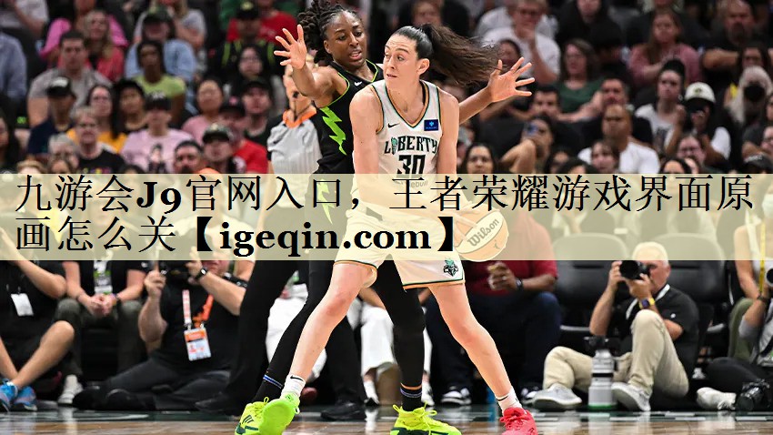 球速体育官網入口,王者榮耀游戲界面原畫怎么關